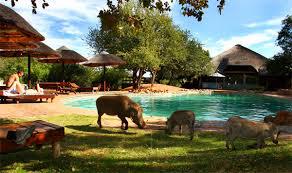 Mabalingwe Game Reserve, Limpopo