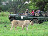 Mabula Game Reserve, Limpopo
